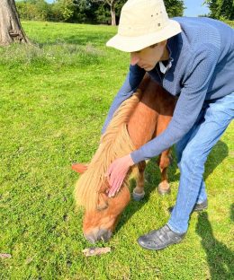 Cranio voor paard
