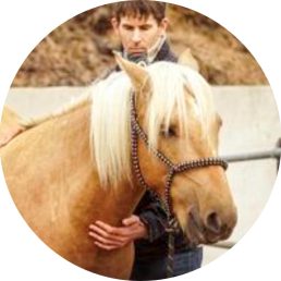 Craniosacraal voor paarden